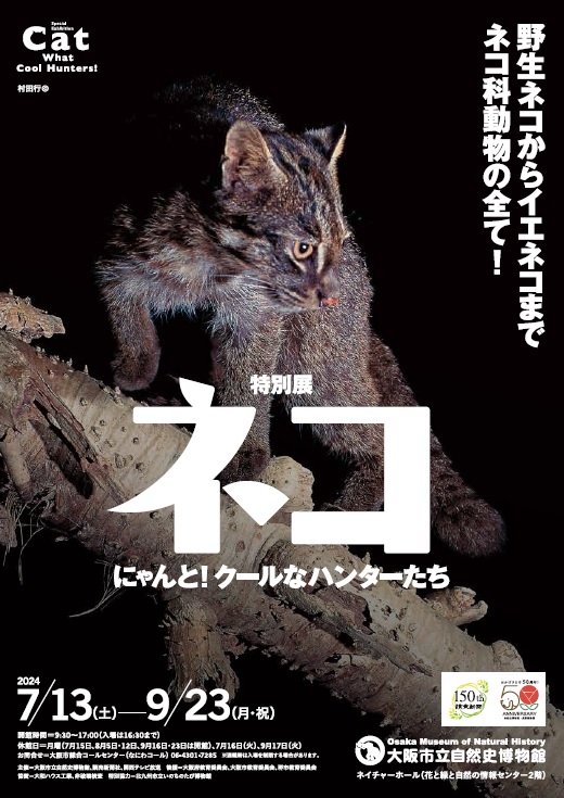 【6月1日（土）から前売券発売開始】　展覧会オリジナルグッズ付きのお得なチケットも販売！特別展「ネコ」 ～にゃ... prtimes.jp/main/html/rd/p…