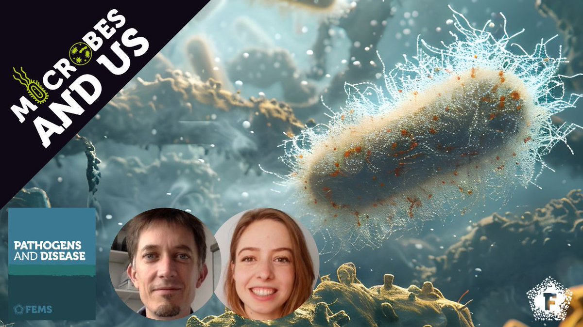 The latest episode of #MicrobesAndUs is now out! 🎙️ 🔬 🦠 

Explore the world of GBP recruitment on intracellular pathogens #Francisella novicida and #Shigella flexneri with our #PathogDis Article Award winners 🏆 , Manon Degabriel & Thomas Henry:

spotifyanchor-web.app.link/e/Tdsefl9EXJb