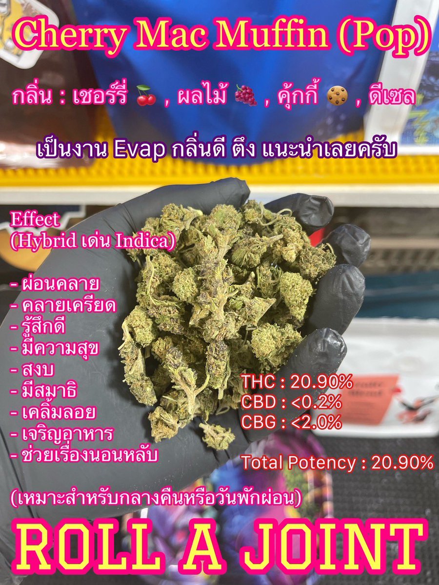 Bobby girl 🦕☄️🪐🥦 tweet media
