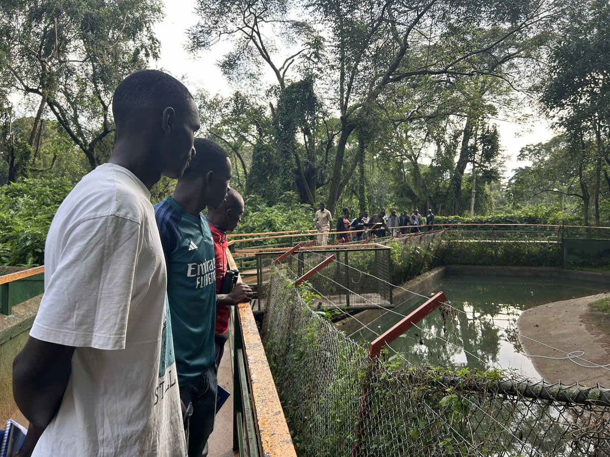 This morning we had a short birding excursion with our friends from Zingola and makanaga at @UWEC_EntebbeZoo some holding binoculars for the very first time and us learning from them their cultural attachments to these birds. Still a great day for learning.