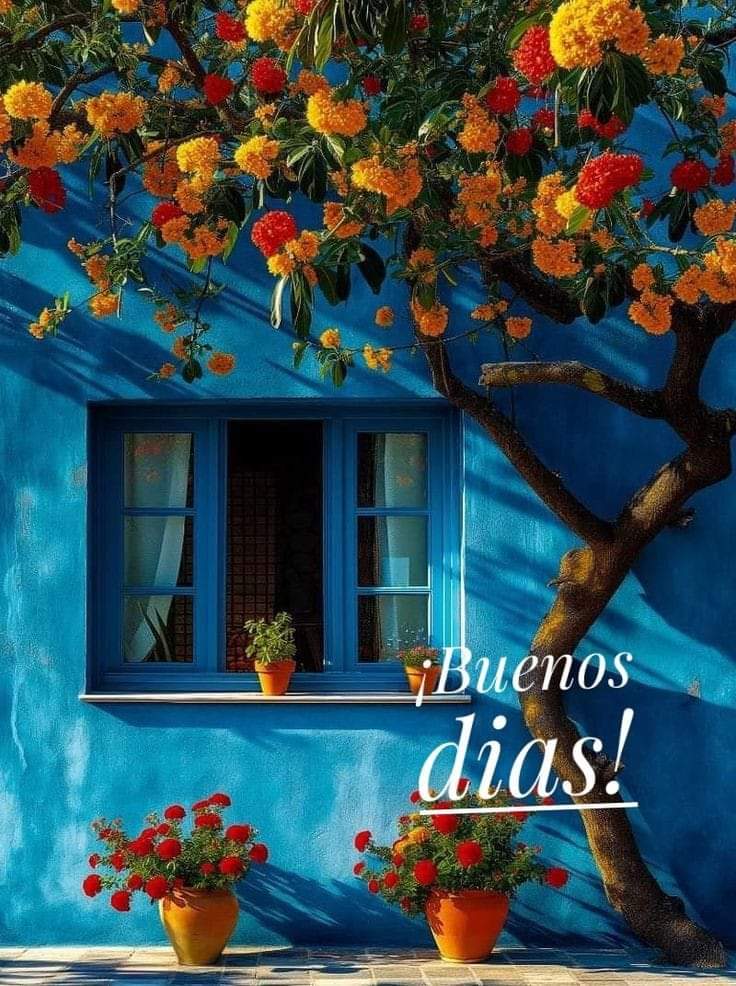 #BuenosDíasATodos 
#felizmiércoles