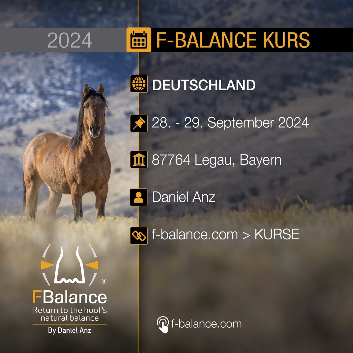 Daniel Anz / F-Balance tweet media