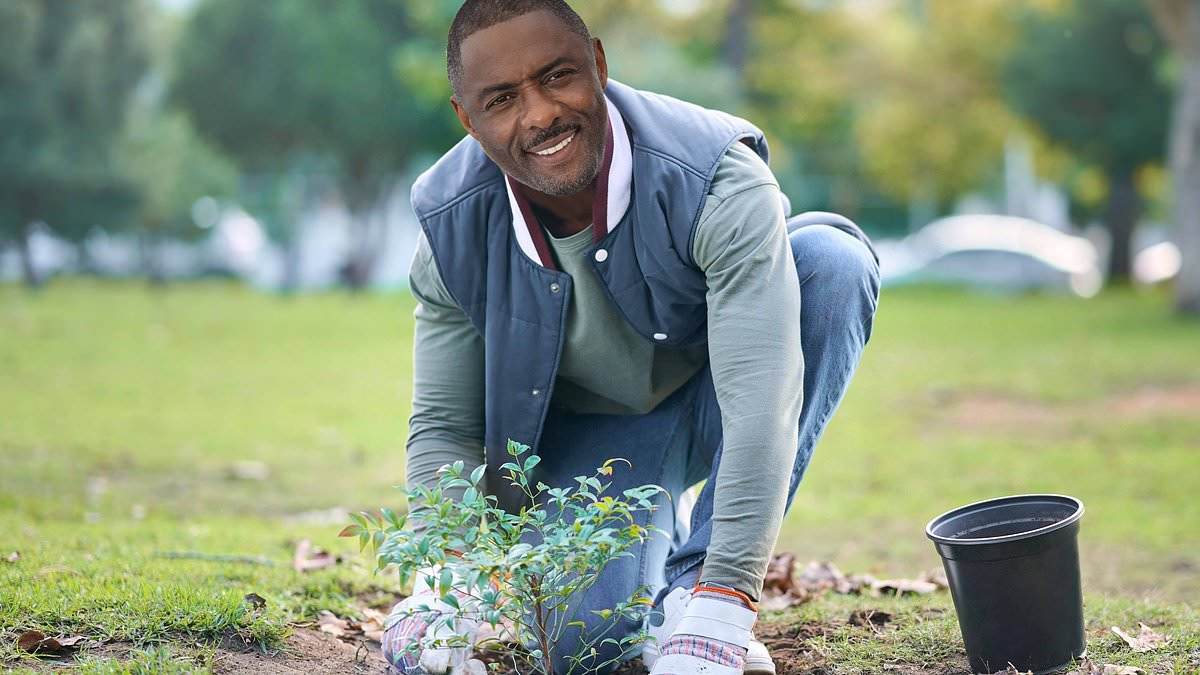 From Luther to lilacs! Action hero and actor Idris Elba adds gardening firm to his growing business ventures trib.al/LzojDrh