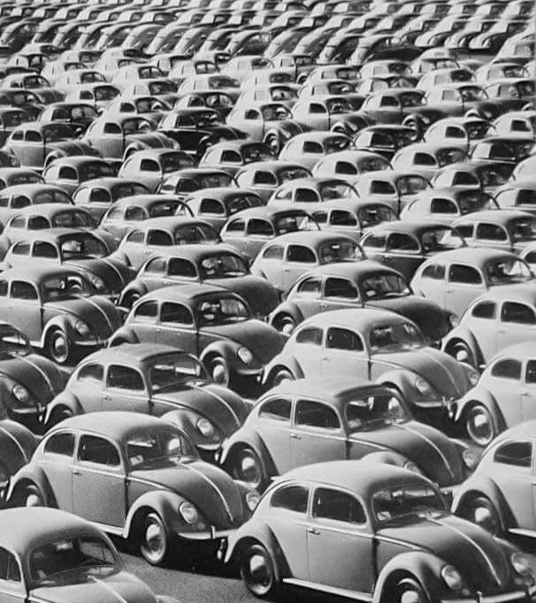 Beetle, Volkswagen Beetle... Reserved. No, you f**k off. #VWWednesday #VW #Volkswagen