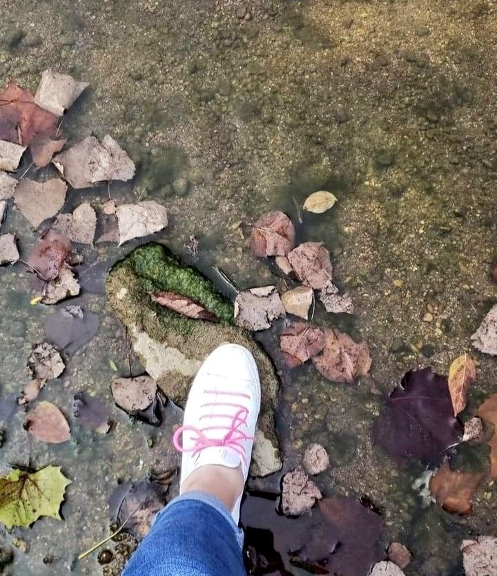 @RCederfjard Leaves and rocks in the sand by the riverbed