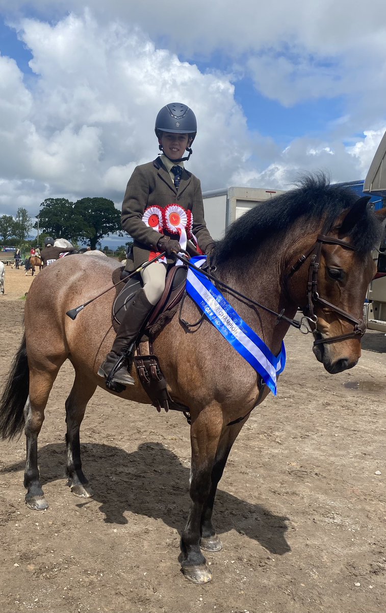 Tom & Mesmo on top form, jumping 3 foot perfect rounds for 3 wins. Then overall res. champion of their section. Most proud of the judges comments to me ‘what a delightful, polite young man he is-she will be watching him’ 🌟

#ambition #ambition
@Sed_Equestrian @Cressbrook_Sed