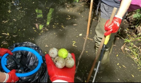 #RiverQuaggy clean ups in June:

Sat 22, 10.30am - 12.30pm - meet at the Dutch House #Mottingham Lane #SE12

Thurs 27, 6-8pm - meet Lidl car park, Lee High Rd #SE13

Book: qwag.org.uk/about-us/conta…

These are our events for 2024’s #3RiversCleanUp #3RCU More: 3riverscleanup.co.uk