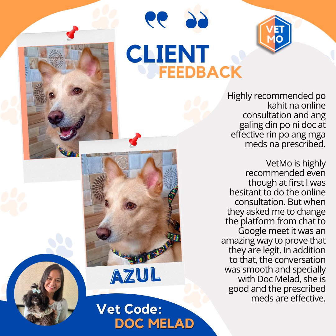 vetmoph's tweet photo. Message us for your pet concerns. Open daily from 2pm to 10pm
👉https://t.co/epFmIvTnj9

#vetmoph #vetmo #veterinarymedicinephilippines #onlinepetconsultation #onlineveterinary #dogsph #catsph #vetmo #vetmoph #onlinevetconsultations #onlinepetconsultation #onlinevets #petsph https://t.co/UD2pFP7szn