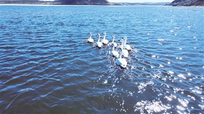 Summer unveils Duolun Lake at its finest! This gem-like lake amidst mountains and grasslands paints a stunning picture of nature’s harmony. Located in Luanyuan town, Duolun county, #XiliinGol, this 1,300-hectare water paradise is a must-see! #VisitXiliinGol