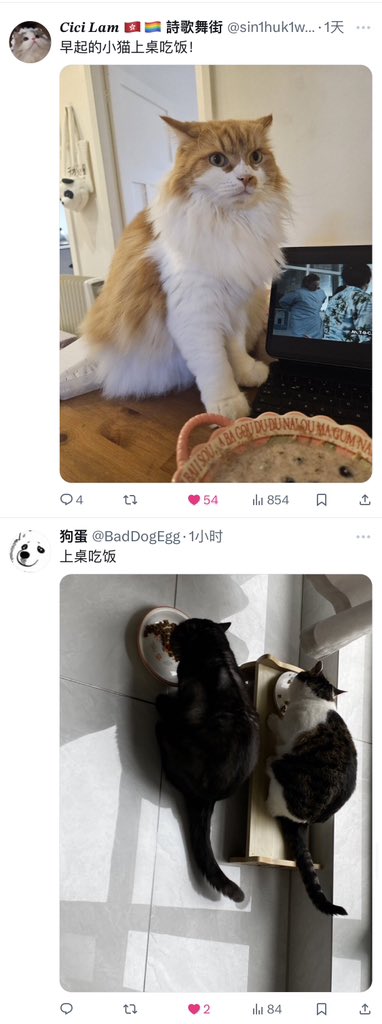 SDBind's tweet image. #小剧场