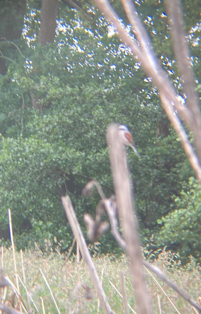 Agr. Natuur Drenthe tweet media