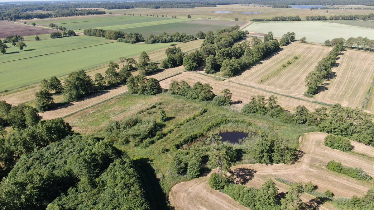 De grauwe klauwier is door ons waargenomen! Deze #doelsoort van de <a href="/ProvDrenthe/">Provincie Drenthe</a> foerageerde tussen de #struwelen en #houtwallen van melkveehouder Nijhoving uit Meppen. Deze #landschapselementen beheert de boer in #mozaïek met #botanischgrasland en een #poel. 
#boerénnatuur #ANLb