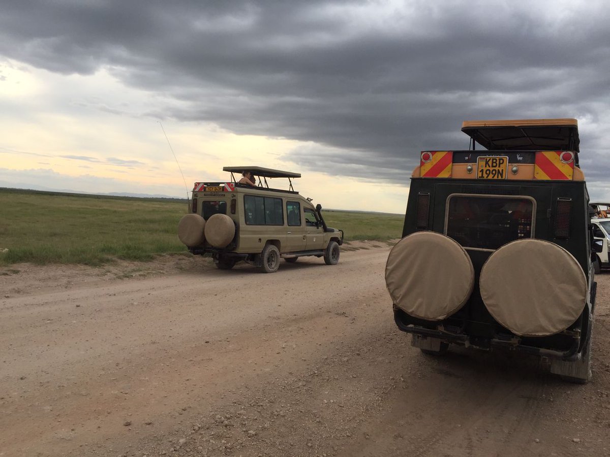 ParadiseAdvent5's tweet image. Embark on the adventure of a lifetime with Paradise Adventure Vacations on the 8-day Kenya Safari. Experience the majestic landscapes and abundant wildlife of Kenya&apos;s most iconic National Parks and Reserves.Tourists Can embark on thrilling Game Drives in the Park to spot Wildlife