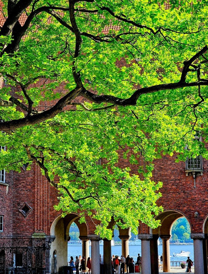 My view!
Inner courtyard of  Stockholm City Hall.
City #trees
#WallsOnWednesday