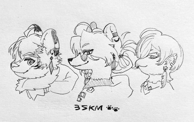 🌈擬獣化🐾
新人さん方 