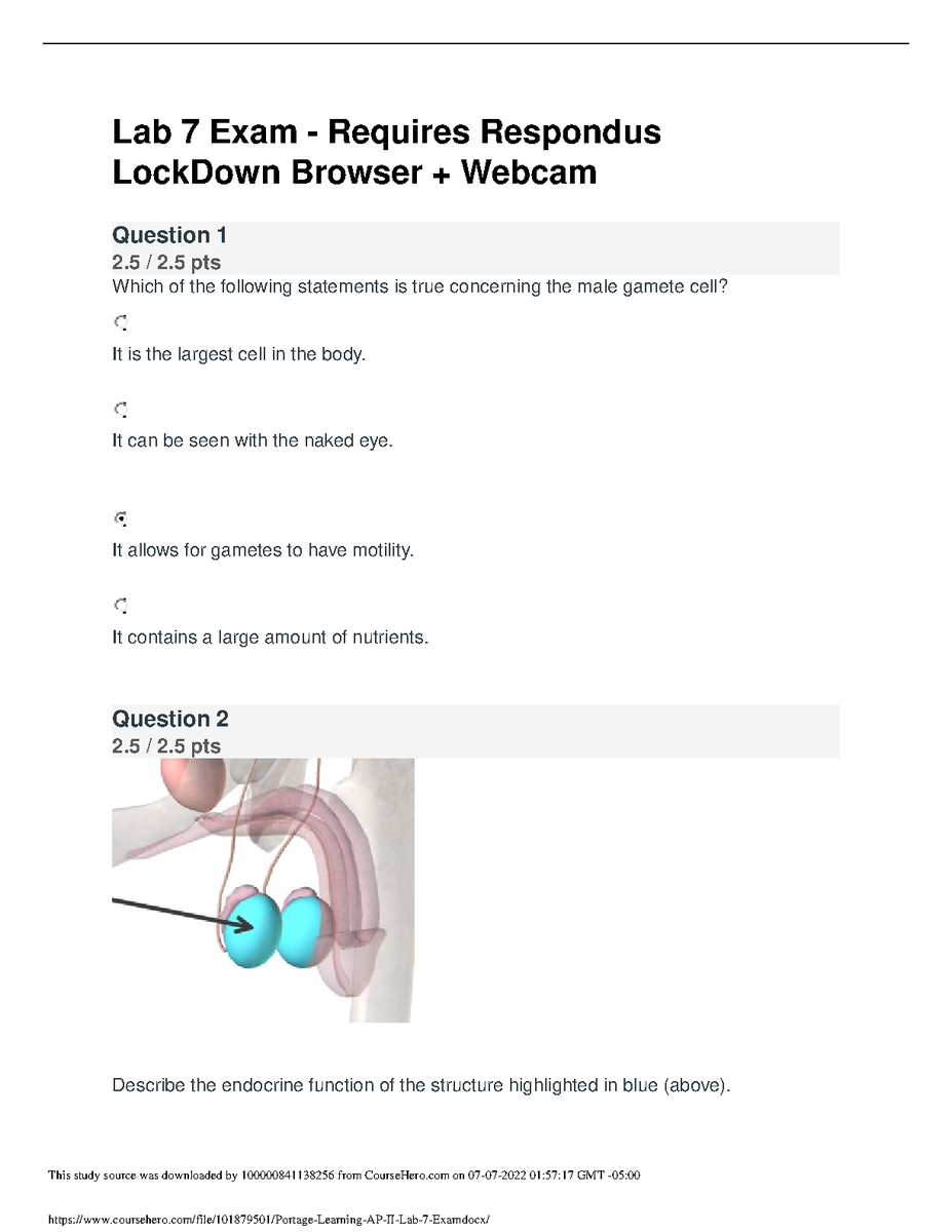 Alizai1587850's tweet image. hackedexams.com/item/5021/bio-… 
Bio 251 Reviewer Exam Nevada State College Reviewer Chapter 13 Latest Update 2023 
#bio251 #Bio2023 #bioreviewer #BioExam #nevadastatecollege #bioChapter13 #hackedexams