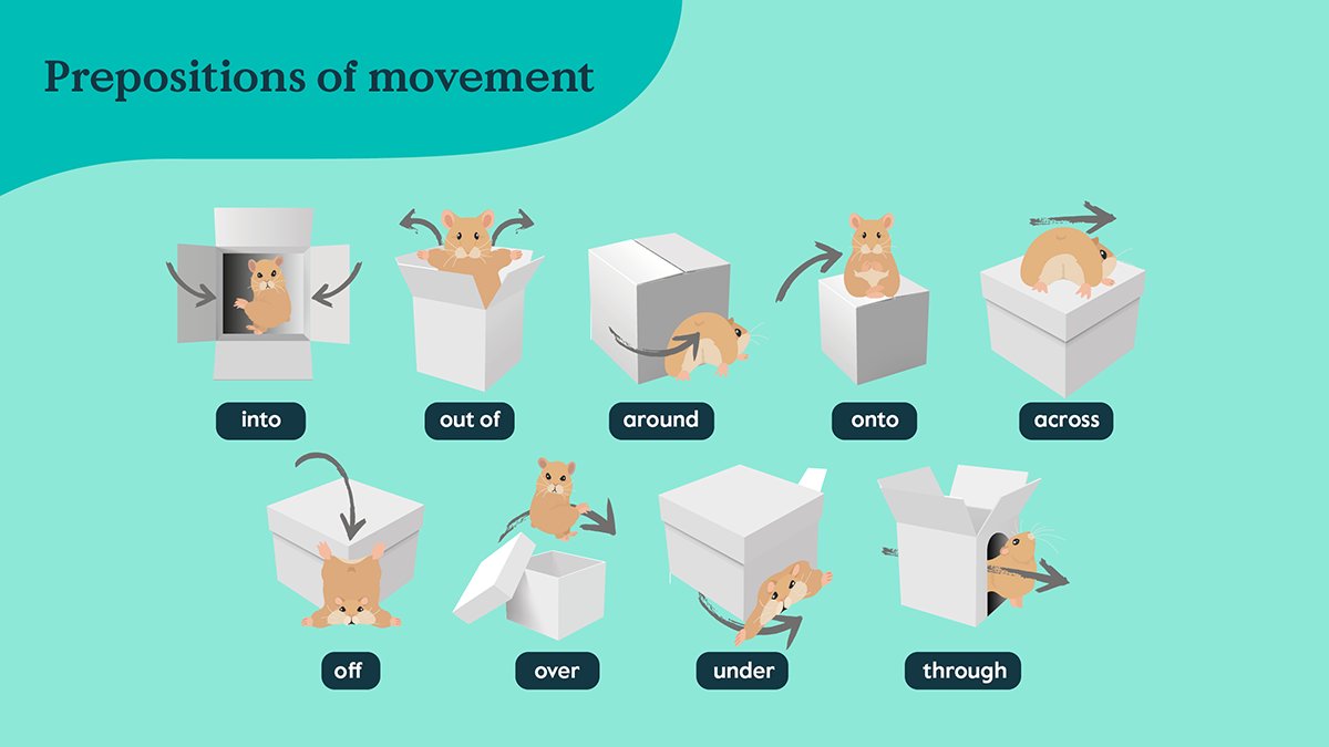Into Preposition Of Movement