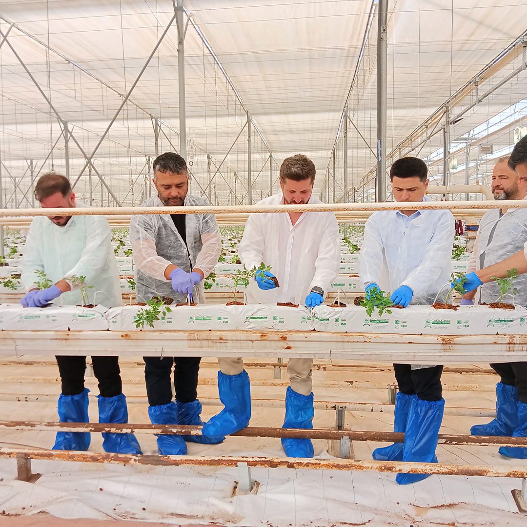 agrotermal's tweet photo. Tuzlukçu Kaymakamı Mustafa Köroğlu ile Agro Termal jeotermal ısıtmalı teknolojik seramızın ikinci etabında fide dikimi devam ediyor.
#sıfırkalıntı #jeotermalsera #agrotermal https://t.co/ZvOcn35UCK
