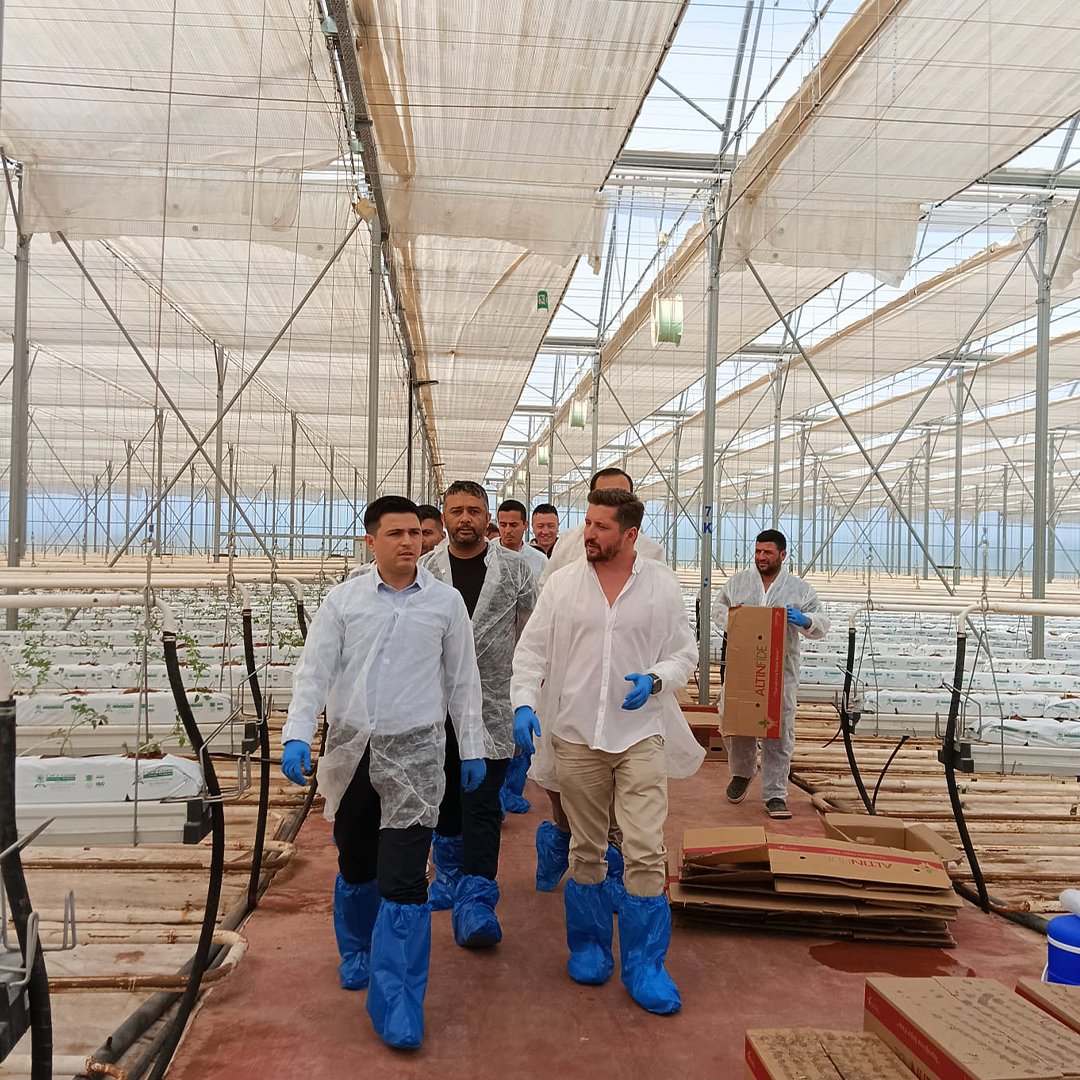 agrotermal's tweet photo. Tuzlukçu Kaymakamı Mustafa Köroğlu ile Agro Termal jeotermal ısıtmalı teknolojik seramızın ikinci etabında fide dikimi devam ediyor.
#sıfırkalıntı #jeotermalsera #agrotermal https://t.co/ZvOcn35UCK