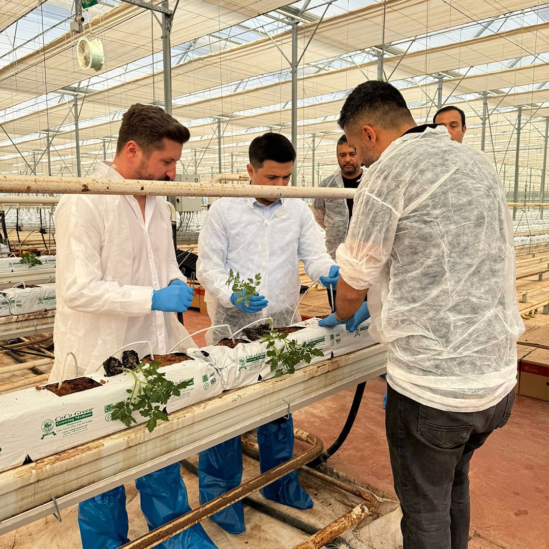 agrotermal's tweet photo. Tuzlukçu Kaymakamı Mustafa Köroğlu ile Agro Termal jeotermal ısıtmalı teknolojik seramızın ikinci etabında fide dikimi devam ediyor.
#sıfırkalıntı #jeotermalsera #agrotermal https://t.co/ZvOcn35UCK