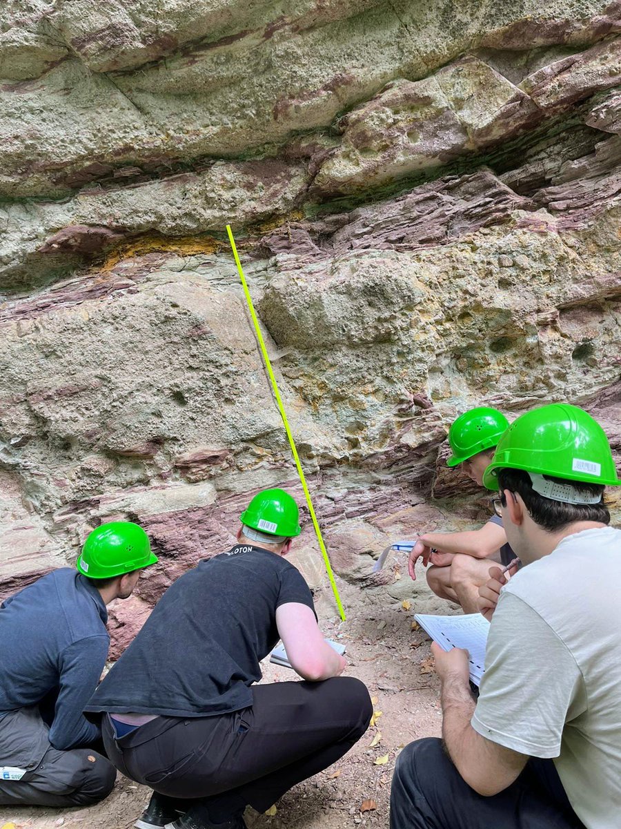Teaching sedimentological logging in the field to the first year students of <a href="/GeoUniHalle/">Department of Geosciences and Geography, MLU</a>. No need to travel far, these fluvial deposits of the local Halle Formation are just 10 minutes from my office! @SedsSkepticism