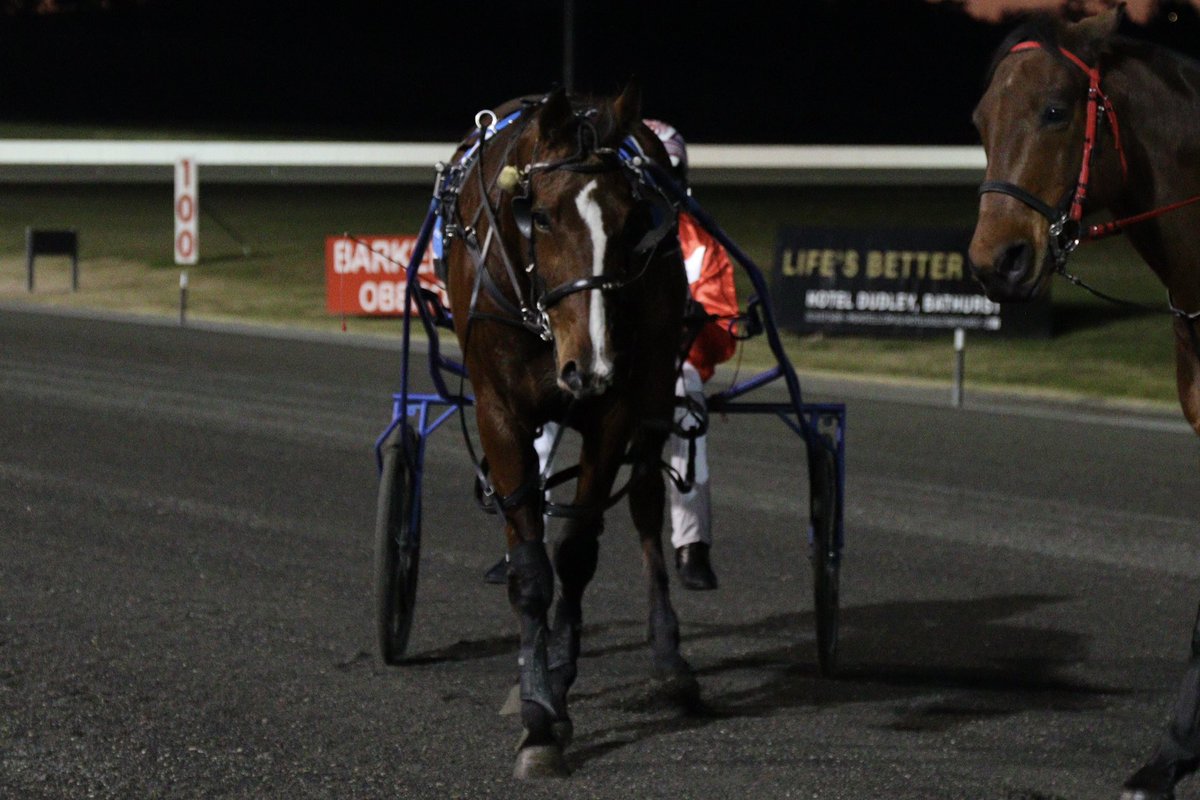 🥇The Mat Rue trained OURSWEETPOG has taken out the CONGRATULATIONS BERNIE HEWITT - TRAINER OF THE YEAR PACE for Jett Turnbull.

🥈| CARBAGANOOSH 
🥉| GWYNETH P

Congratulations 👏