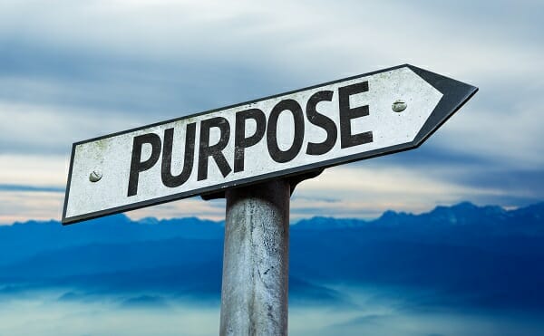 An organization is the total of the individuals working there. Looking at individual purpose is thus key to achieving organizational purpose. Individual Purpose In Teal Organizations bit.ly/3SGKPhg @funficient #development #teambuilding #purpose #leadership #teal