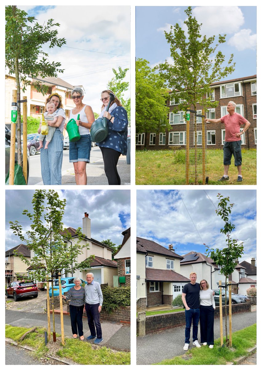 Best time to plant a tree🌳was 20 yrs ago, the 2nd best time is NOW!

Amazing residents from across #Croydon have now help fund an 306 EXTRA trees🌳🌳🌳 through @treesforstreets in conjunction with their local council 👍

Let's fill our streets with trees!
Treesforstreets.org