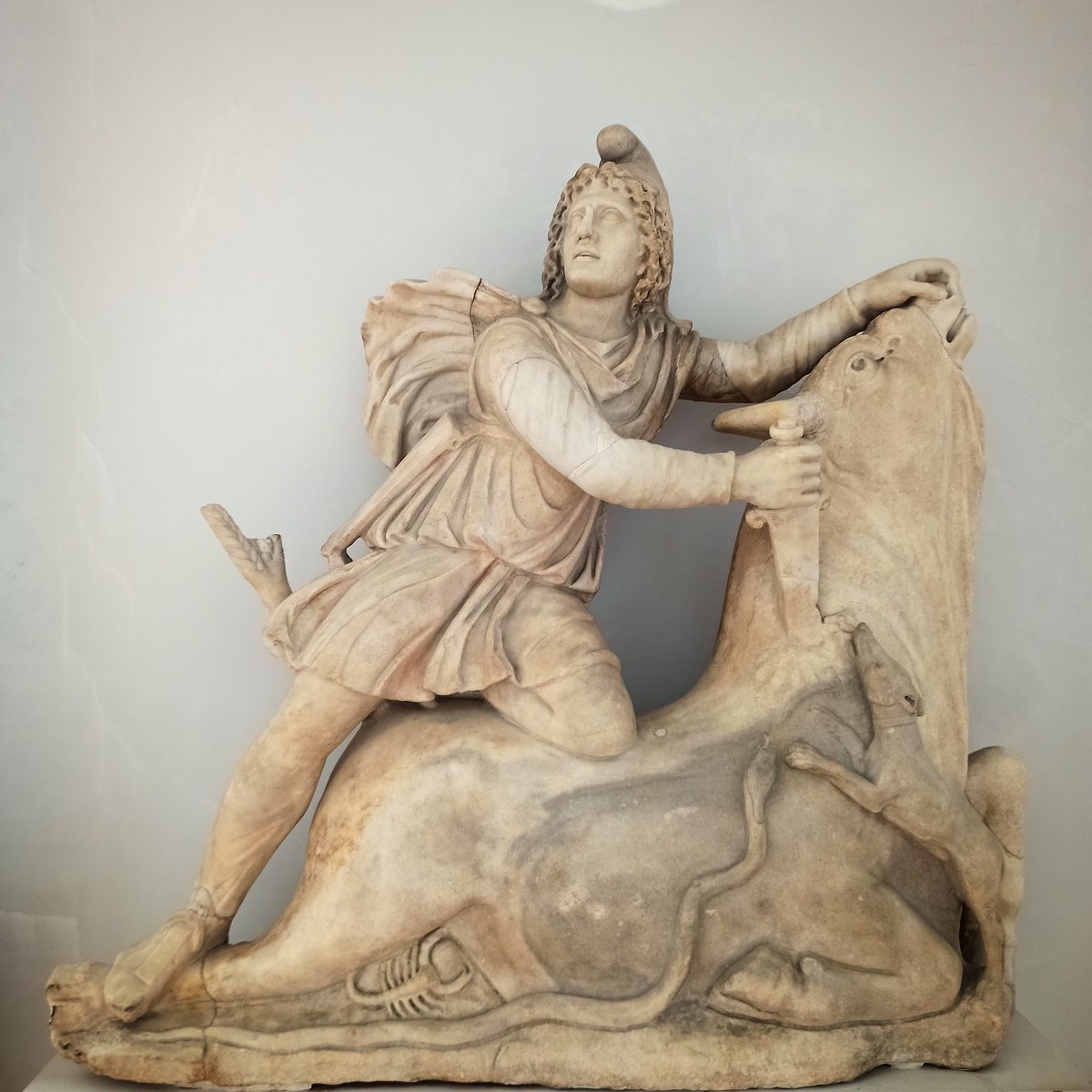 #ReliefWednesday Mithras slaying the bull, late 2nd - early 3rd century AD, from Rome, Girolamo Zulian collection, on display in room 1 #museum #Venice #Archaeology #sculpture