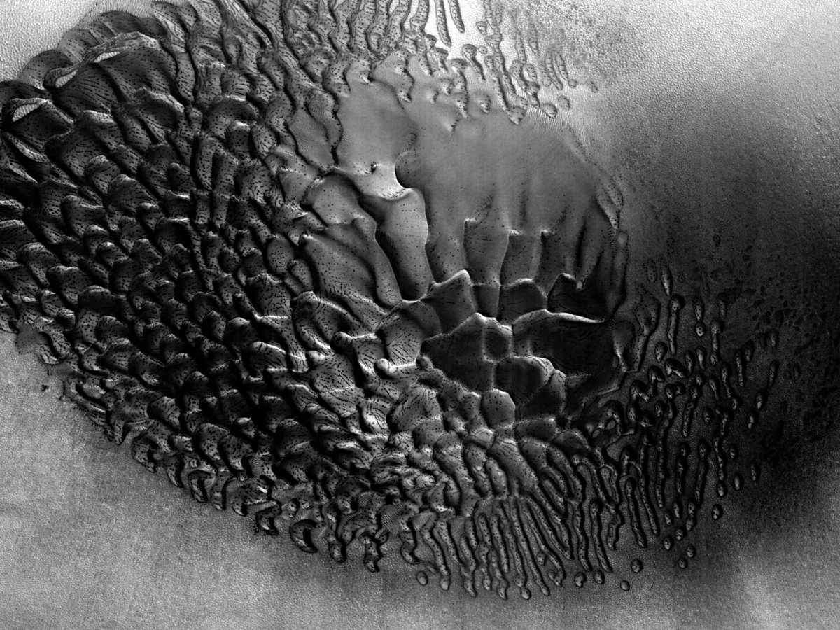 Les dunes de Mars sont les plus belles dunes du Système solaire !

Point final ! 🤩