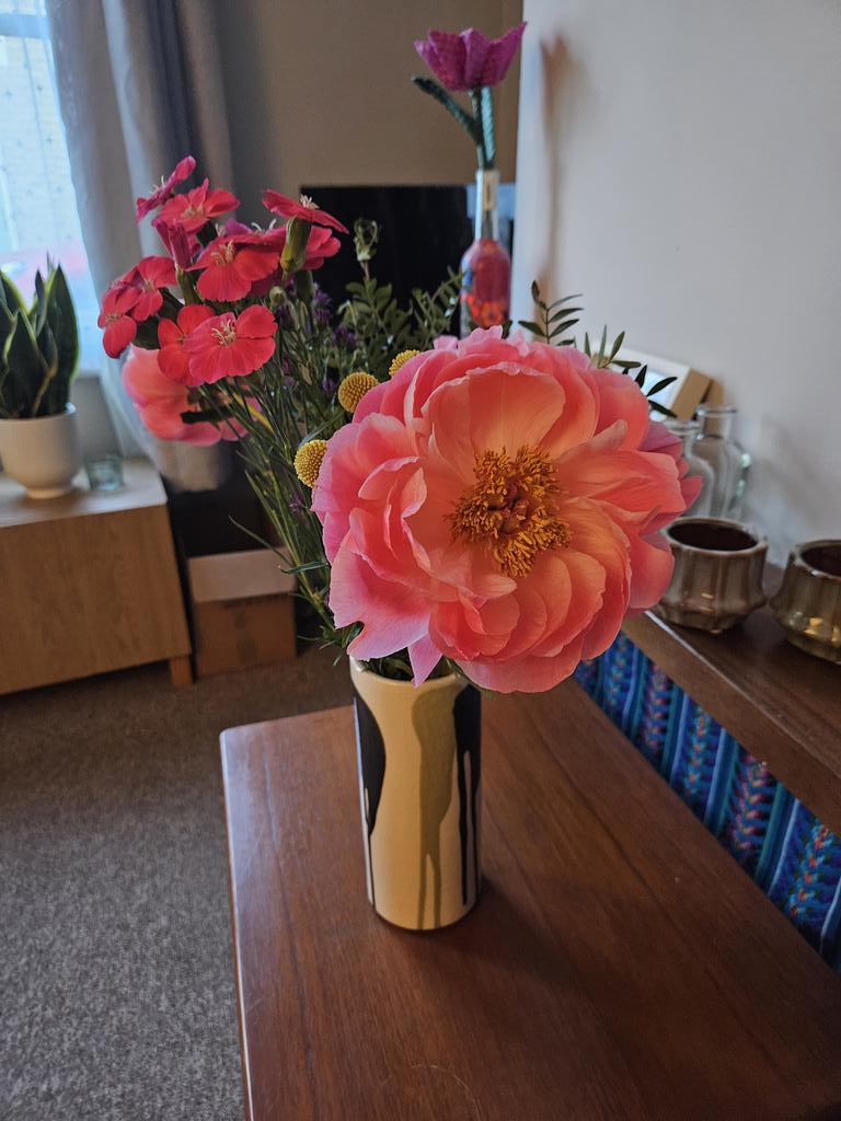KAWilko's tweet photo. Job update: last week I said goodbye to Peirene Press after 8 enjoyable months freelancing. Here are the lovely leaving flowers they got me! 
Today I'm starting a new job as Digital Editor for Médecins sans Frontières UK. Really excited 😊 https://t.co/pe5kxKDbzl