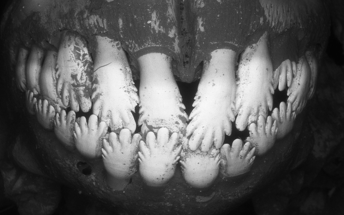 ThePalAss's tweet photo. Early ray-finned herbivores: the Permian dental system of Eurynotoidiidae https://t.co/oc6nmYjaO3 @wileyearthspace https://t.co/u4jpgIfvYr