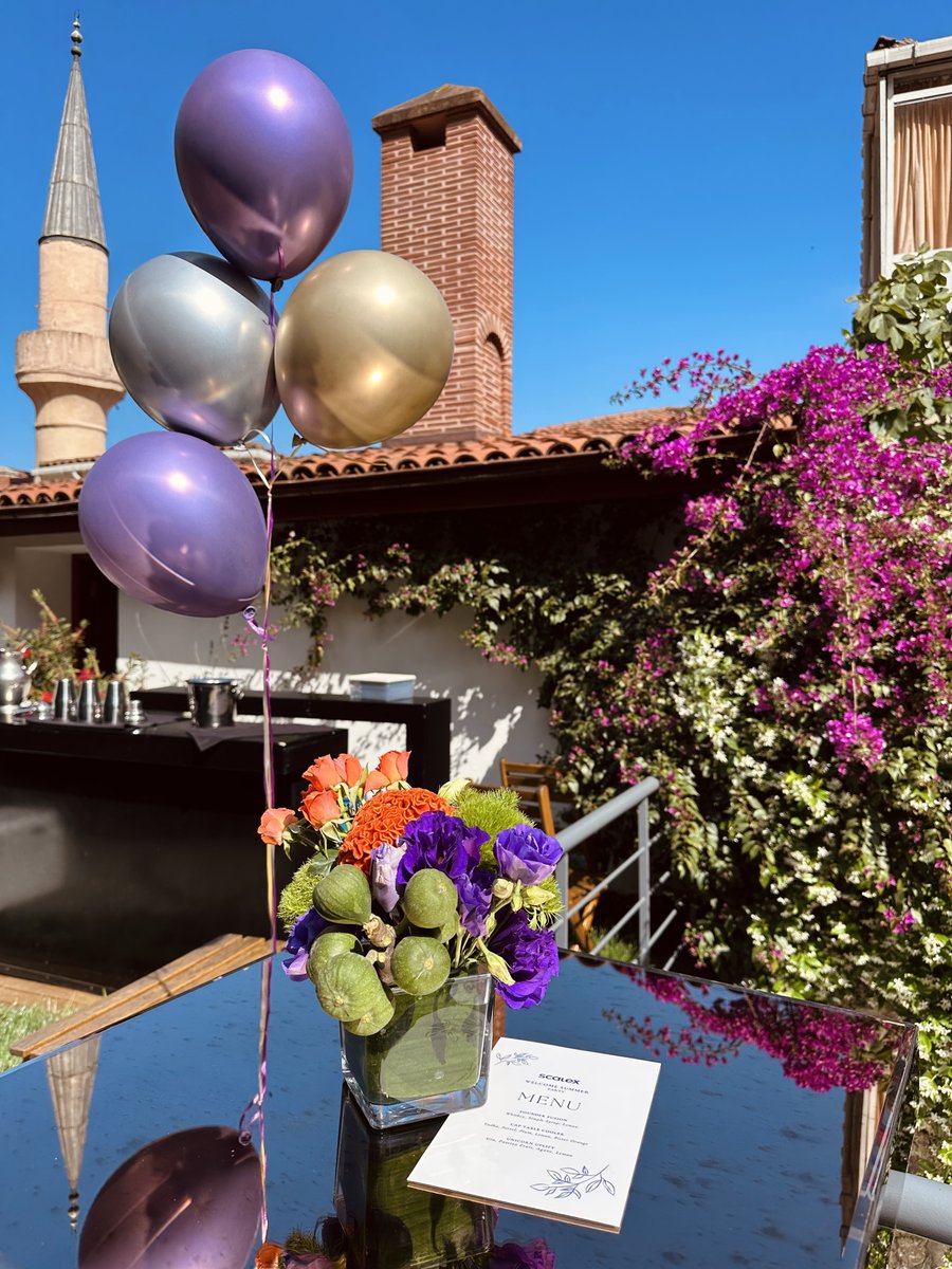 ScaleX Ventures tweet media