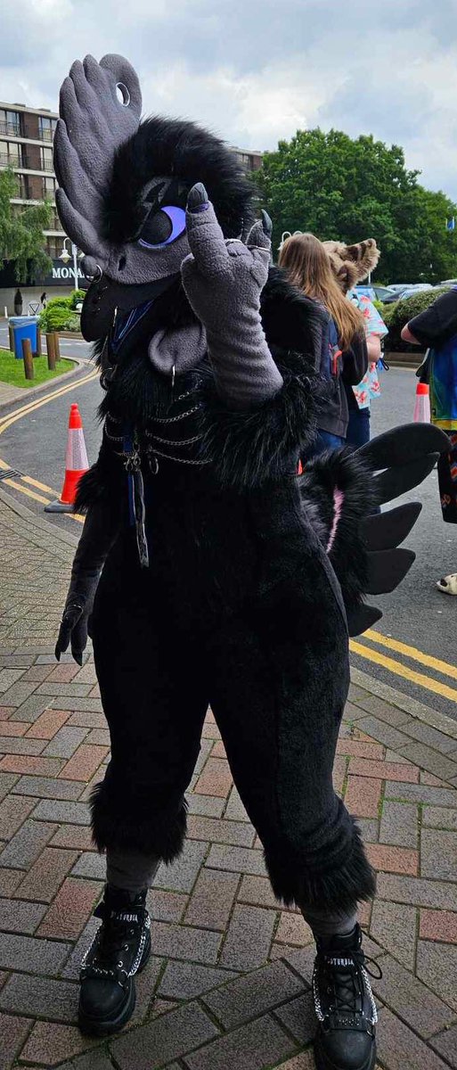 Tikka’s bodysuit debuted at confuzzled this year, thank you to everyone who stopped her for photos! 🐔💜💙