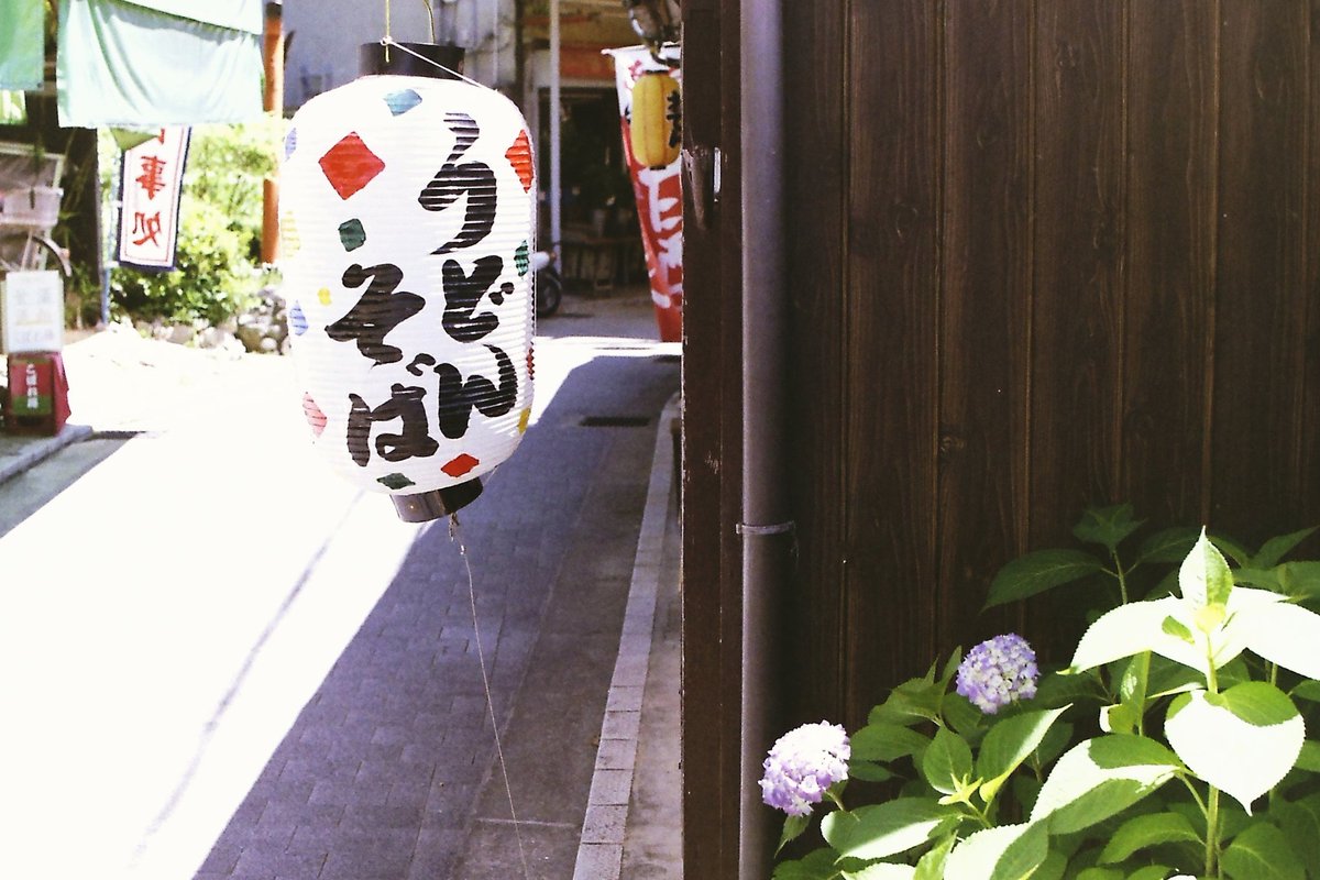 wao_camera's tweet photo. 清荒神参道寸景

Nikon F 前期型
Auto NIKKOR-S 50mmf1.4
FUJICOLOR 100
#film #Nikon_f 
#Nikonfilm一眼レフ https://t.co/OxN9VITEyz