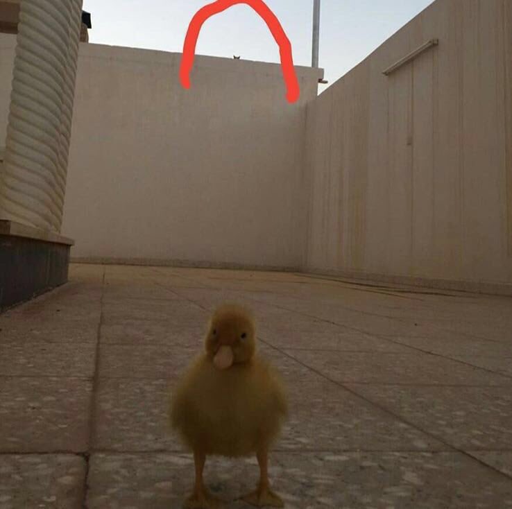 يخفى العداوة وهى غير خفيةٍ
نظر العدو ..... بما  اسر ّ يبوحُ