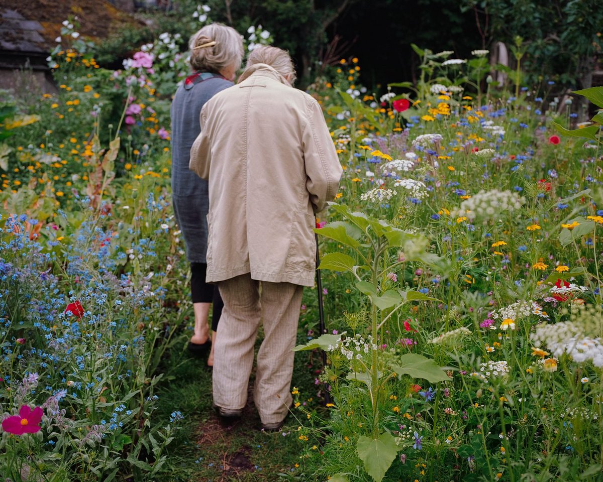 #TheGarden. These loving, intimate portraits taken in #SianDavey’s vibrant backyard garden in Devon celebrate everyday beauty, interconnectedness, and metaphors of the garden and the human heart. lensculture.com/articles/sian-… #photography