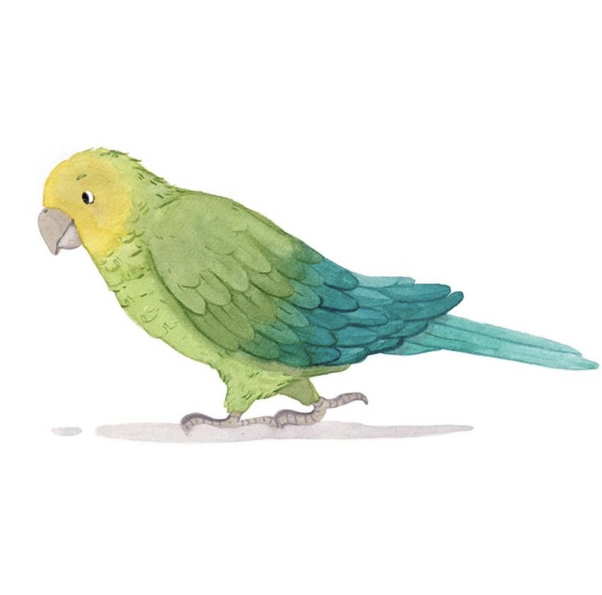 Hi there, Lorito! 
Where are you going?

➡️Squawk of Spanish is a multigenerational story of bilingual characters that learn to communicate with the help of dessert, a bit of courage, and this witty parrot. @charlesbridge 

🔗20% off with code SQUAWK 
tertulia.com/book/squawk-of…