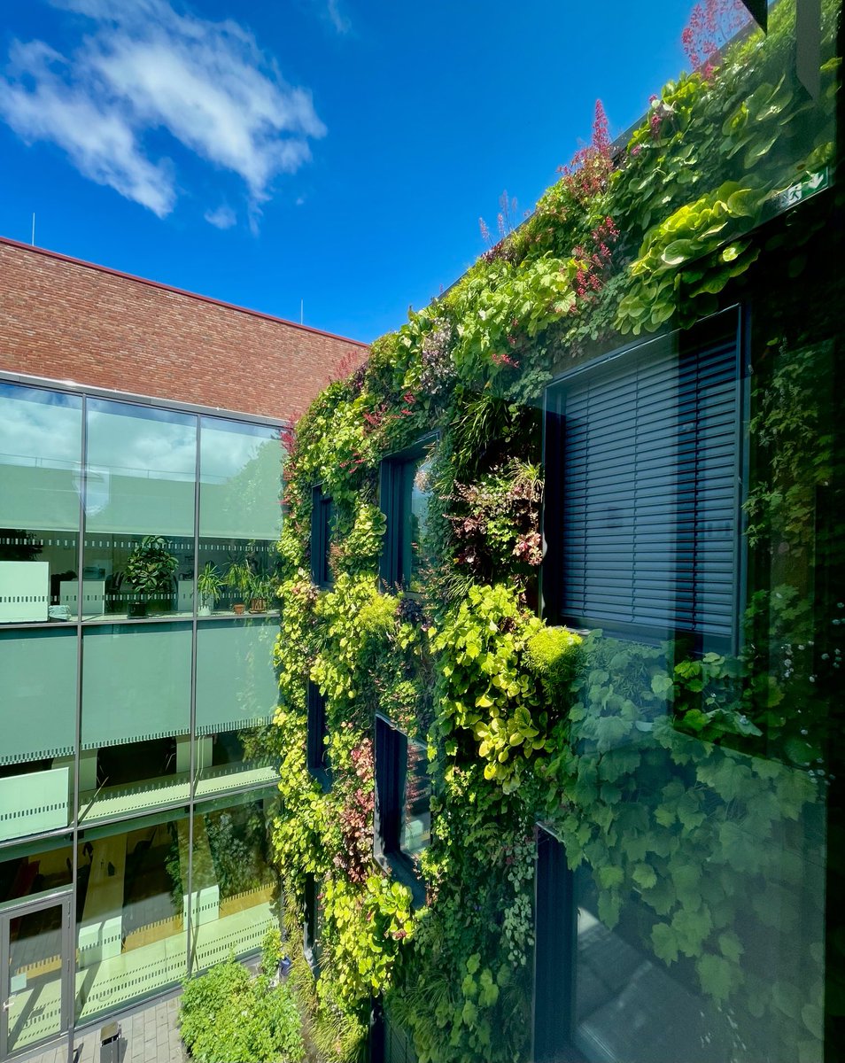 StefanLuschnig's tweet image. Our building is flowering 
#Multiscale Imaging Center MIC ⁦@uni_muenster⁩