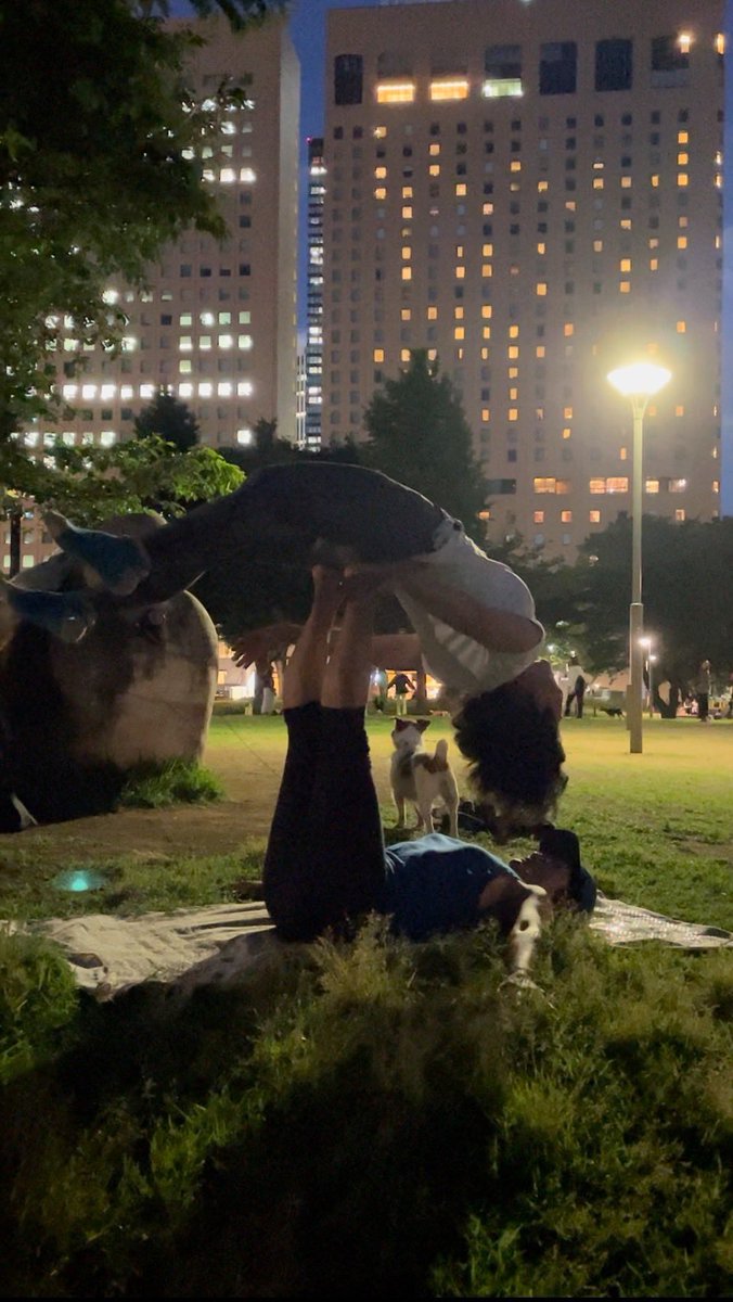 アクロヨガ！＠新宿中央公園
ラムたんも連れていったらなかなかのショット^_^
#ジャックラッセルテリア
#アクロヨガ