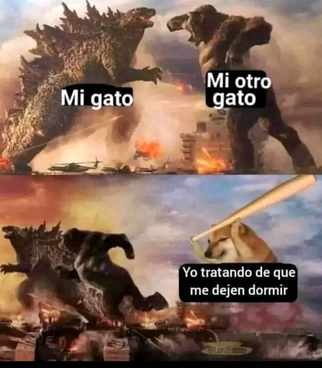 En la madrugada 🙄