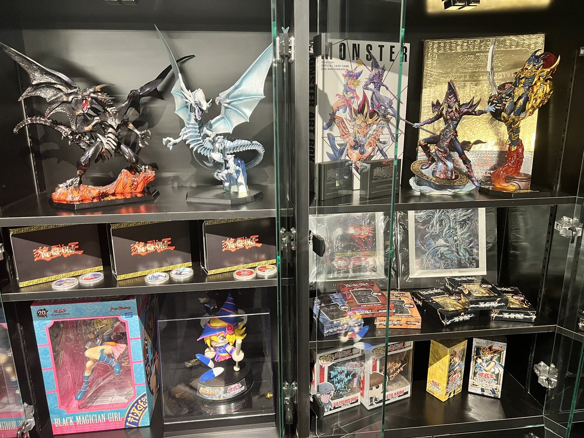 気付いたら棚が遊戯王だらけになっててわろた