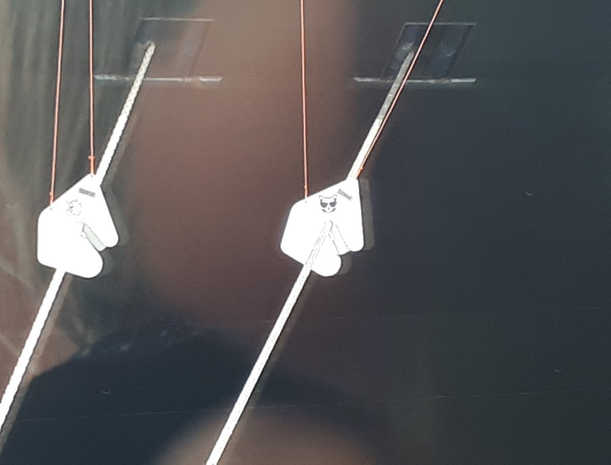 Holland  America's cruise ship MS Volendam is this summer's most regular caller to Halifax at Pier 21. I like her array of traditional rat guards (discs designed to block rats from climbing up mooring lines.) A fun touch:  each rat guard has a different design  of a cat's face!