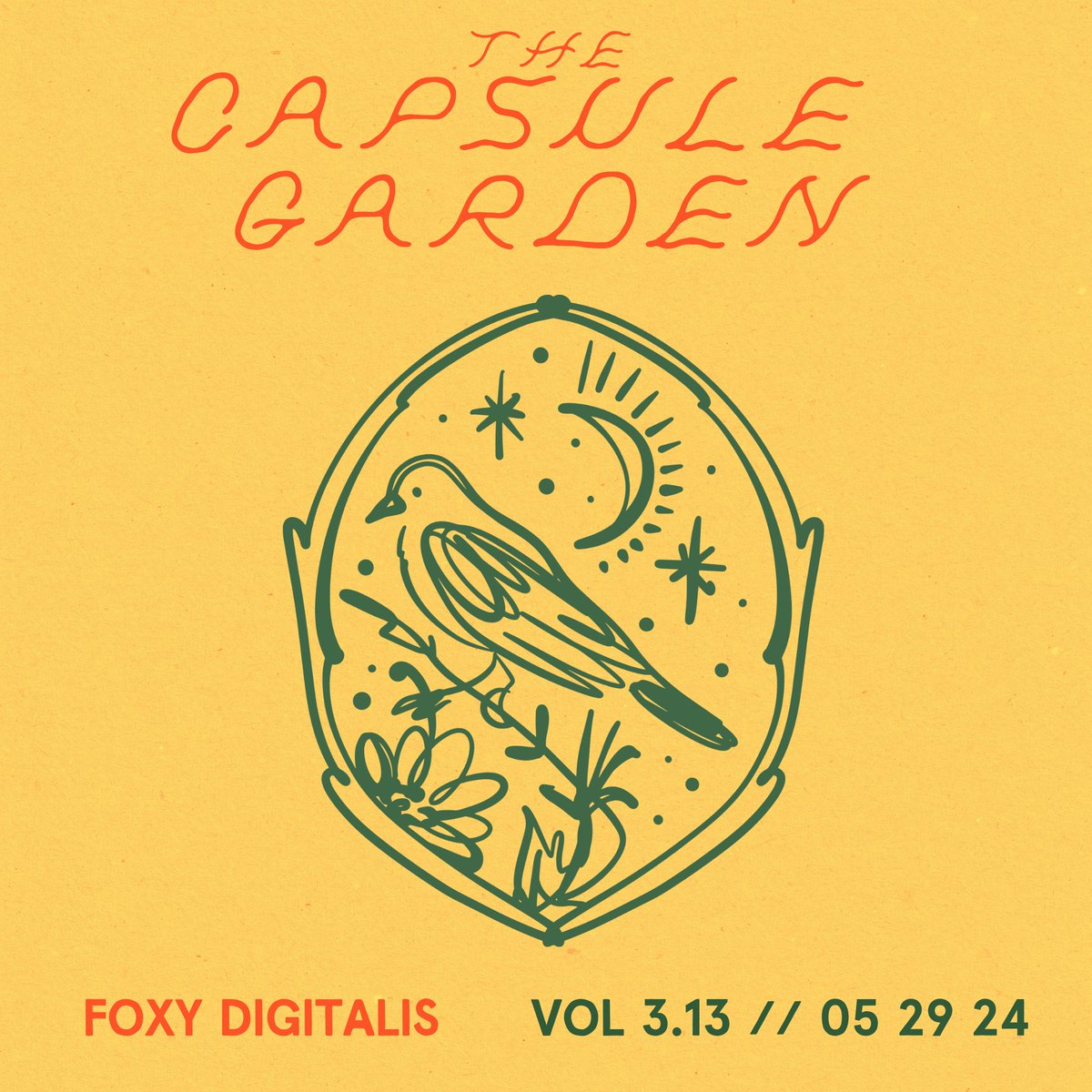 The Capsule Garden returns! This week w/ Jacken Elswyth, Post Moves, W Realrider + K Galbraith, Michael Morley + Joachim Nordwall, Mélodie Blaison, Montgomery + Turner, Maddalena Ghezzi, tenses, Dawn DX, Somnoroase Păsărele, Memory Dreams, &amp; Amina. WHEW! foxydigitalis.zone/2024/05/29/the…
