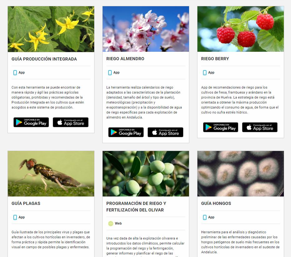 📲¿Conoces las #App y aplicaciones web del #IFAPA?

 🌸Riego almendro
🍓Riego Berry
🕷️Guía plagas
🫒 Programación de riego y fertilización del olivar
🌱Guía hongos
🐝Diseñen
🌾PlantEN
💧RIAA

🌐Descárgalas aquí 👉🏼lajunta.es/3odlc