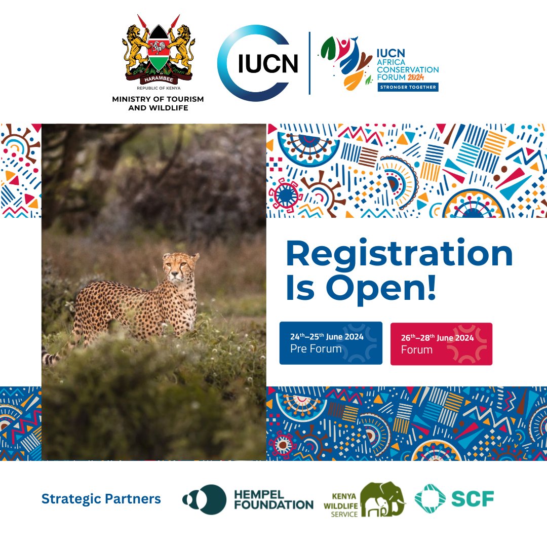 🚀 Secure your spot at the Africa Conservation Forum 2024! Join conservation leaders in Nairobi from June 26-28. Get a chance to engage with our members, experts and leading organisations in biodiversity, sustainability, & more. Register➡️bit.ly/IUCN-ACF24Regi… #IUCNAfrica2024