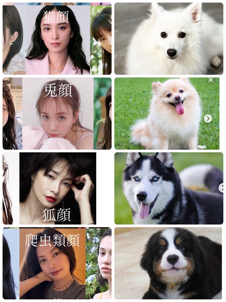 Blueberry_Eye18's tweet photo. 全部犬顔に見える https://t.co/eCGYIe7cGp