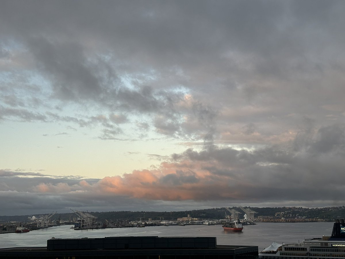 kaysmithblum's tweet image. Up early working on a pal’s beta read. What are you working on?? #writing #writerslife #writeon