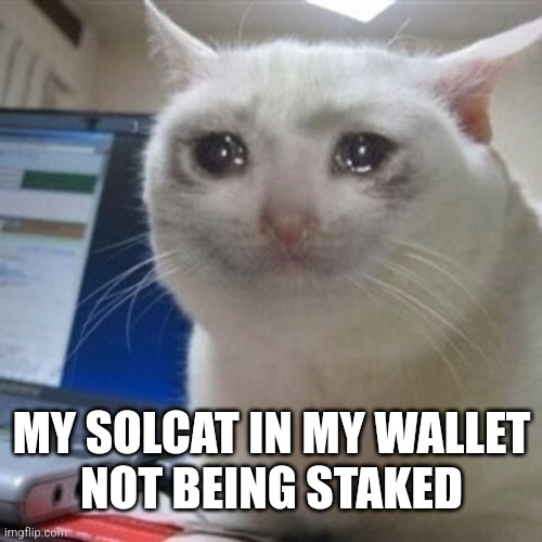 Don't make your Solcat cry 😭
Stake them on soltopia.xyz 
and earn $topia