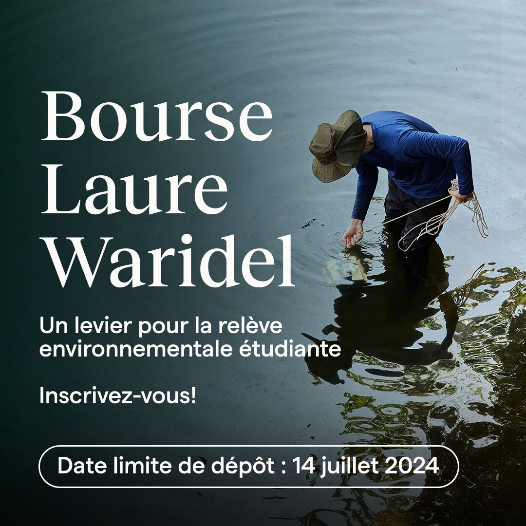 Équiterre (@equiterre) on Twitter photo #BourseLaureWaridel| Équiterre et la <a href="/CSolidaire/">Caisse d’économie solidaire</a> sont heureuses de lancer la 14e édition de la bourse Laure Waridel, qui encourage un(e) étudiant(e) dont les travaux de recherche contribueront à la transition écologique. 🌎🌱🧑🎓
Apprenez-en plus ➡️ hubs.li/Q02yHhjY0 #BourseLaureWaridel| Équiterre et la <a href="/CSolidaire/">Caisse d’économie solidaire</a> sont heureuses de lancer la 14e édition de la bourse Laure Waridel, qui encourage un(e) étudiant(e) dont les travaux de recherche contribueront à la transition écologique. 🌎🌱🧑🎓
Apprenez-en plus ➡️ hubs.li/Q02yHhjY0